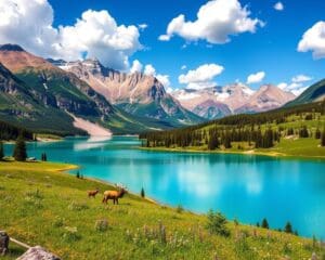 Naturerlebnisse im Waterton-Lakes-Nationalpark, Alberta