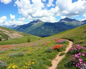 Die besten Wanderziele im Frühling