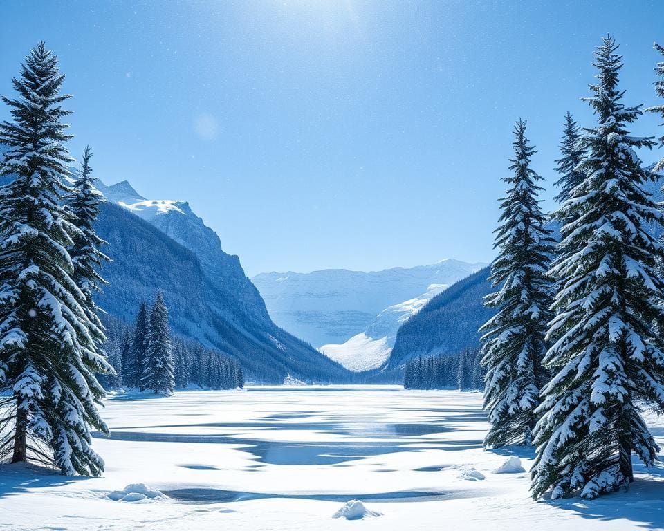 Die schönsten Naturerlebnisse im Winter