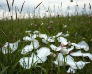 Wieso sind Einwegpads schlecht für die Umwelt?