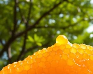 Manuka-Honig – warum gesund?