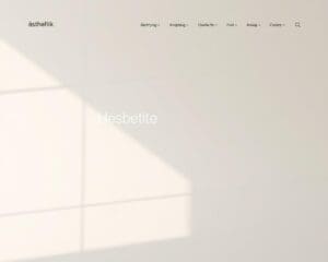 Wie kombiniert D4Design Ästhetik und Funktion im Webdesign?