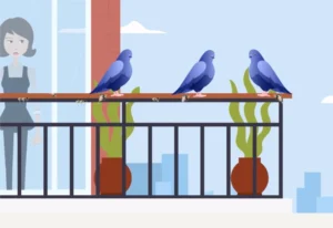 patzen- und Taubenschutz in der Schweiz