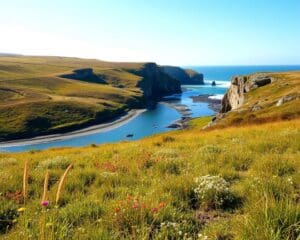 Was macht die Bretagne spannend fuer Naturfans?