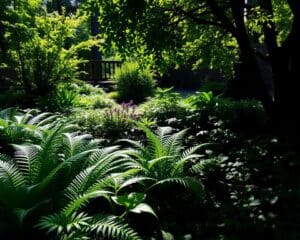 Wie gedeihen Schattenpflanzen am besten?