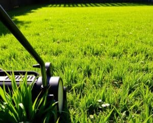Wie pflegst du deinen Rasen im Sommer richtig?
