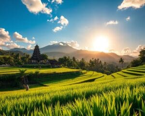 Was macht Bali so attraktiv?